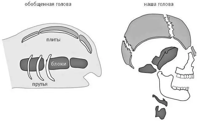 Плиты блоки и прутья тема черепа и одна из вариаций на эту тему череп - фото 22