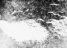 Другие фотографии сделанные Антонио Сан Антонио 16 ноября 1957 г недалеко от - фото 122
