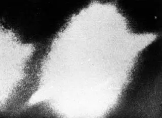Доктор Бертольд Шварц психиатр из НьюДжерси 15 апреля 1971 года во второй - фото 126