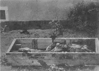 Останки Гитлера фото 8 мая 1945 г Г К Жуков и Н Берзарин в Берлине - фото 29