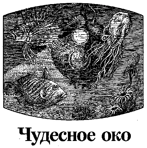 ПРОЛОГ Океанский пароход назывался Левиафаном по праву Это был настоящий - фото 12