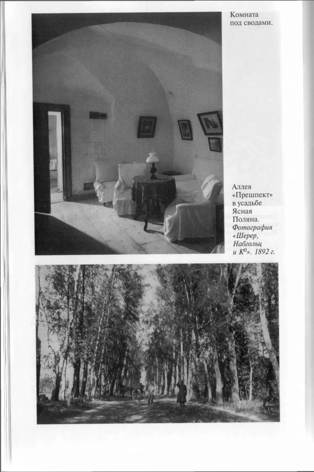 Деревня Ясная Поляна Фотография Шерер Набгольц и К 0 1892 г Деревня - фото 18