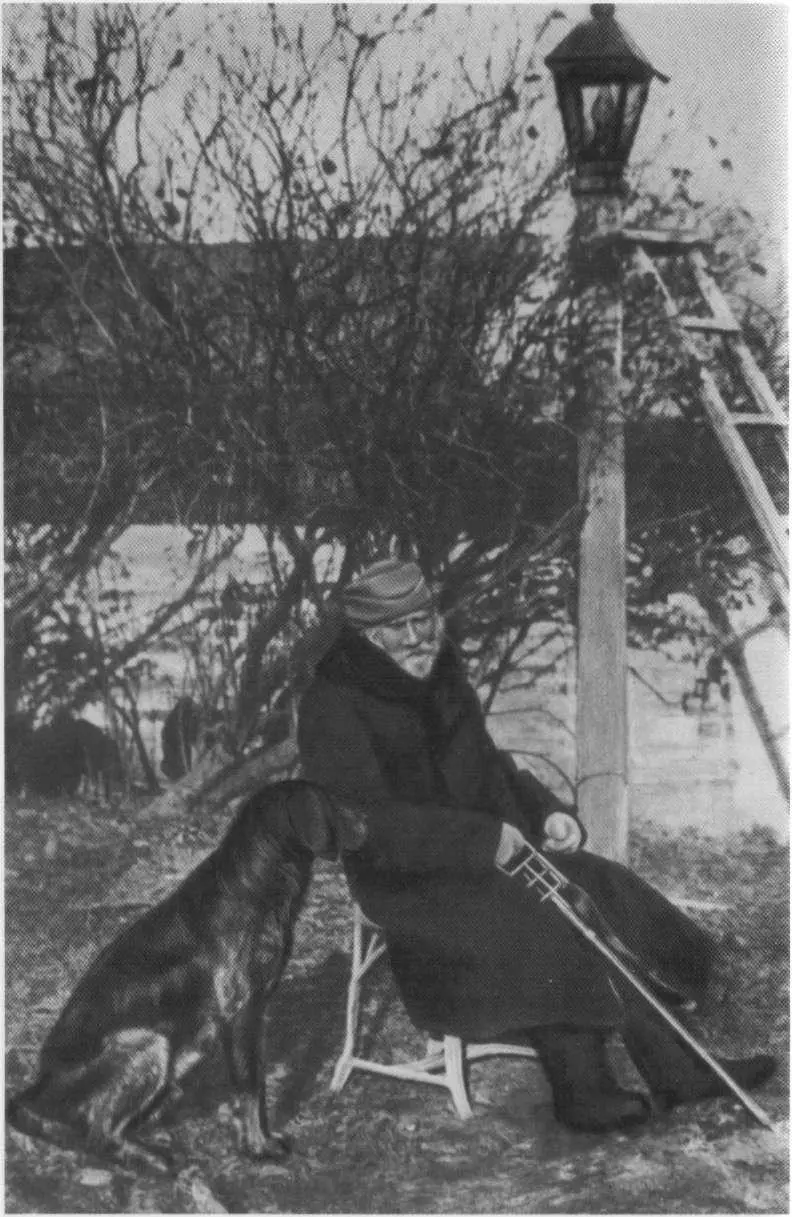 JI Н Толстой Фотография В Г Черткова Ясная Поляна 1908или 1909 г - фото 42