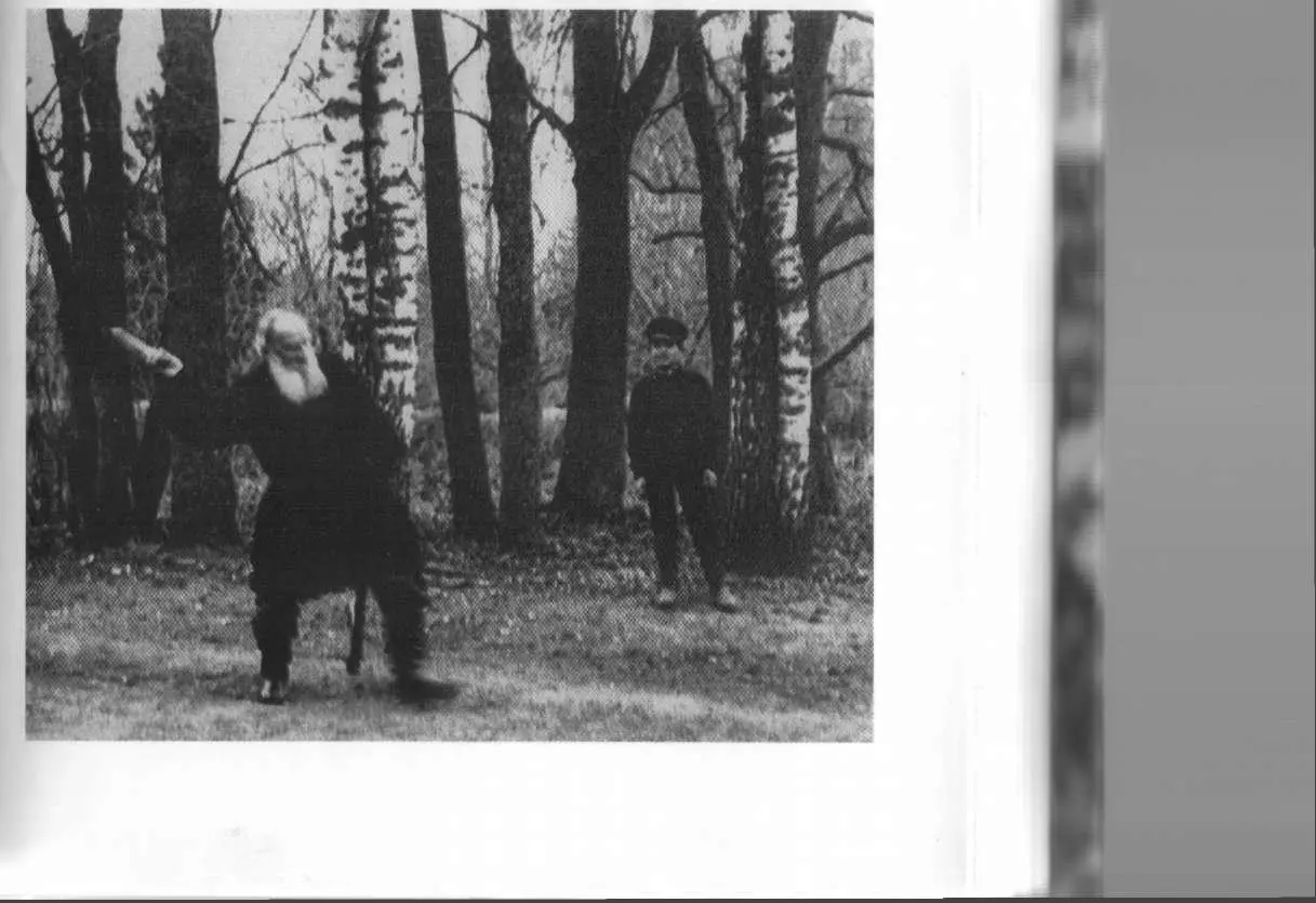 Троицын день в Ясной Поляне Фотография Т Тапселя Май 1909 г Лев Николаевич - фото 49