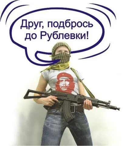 Институт гражданского общества институту гражданского общества рознь - фото 2