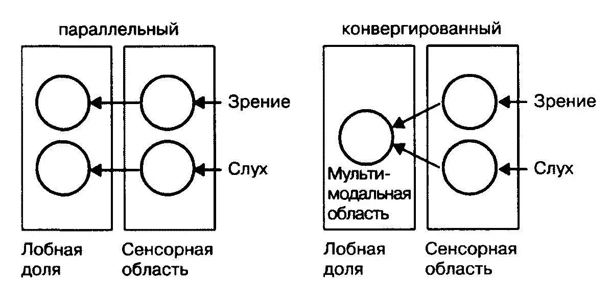 Схема параллельного и конвергированного потоков информации при активации - фото 8