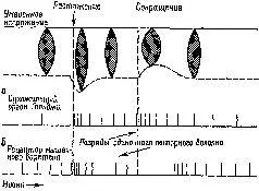 Рис XII4 Примеры ответов сенсорных нервных волокон идущих от сухожильного - фото 136