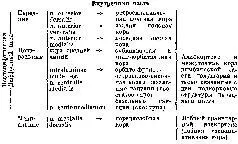 Классификация составлена на основе следующих работ Электрофизиология Magoun - фото 178