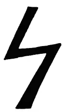 Прямое и перевернутое положения руны по значению не различаются Если вам выпал - фото 16