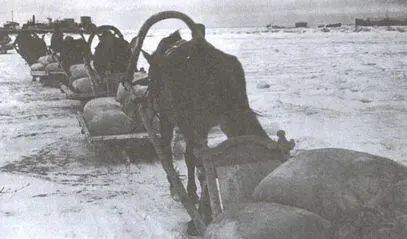Обоз с зерном движется по льду Ладожского озера Ленинградская область декабрь - фото 32
