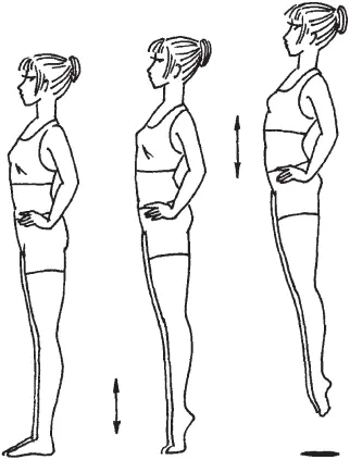 Рис 10Упражнение 12 13 Исходное положение стоя на цыпочках руки на поясе - фото 10