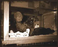 Мумия Джейк Composite mummy Jake 1969 Рекс впервые сталкивается с двумя - фото 5