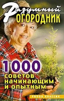 Светлана Дубровская - Разумный огородник. 1000 советов начинающим и опытным