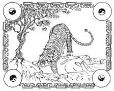Символическое изображение Белого Тигра Дракон и Тигр стражи дома их силы - фото 11
