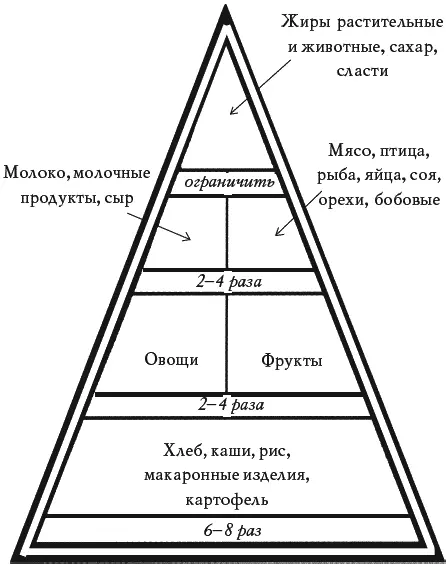Пирамида питания Какими критериями необходимо руководствоваться при выборе - фото 144