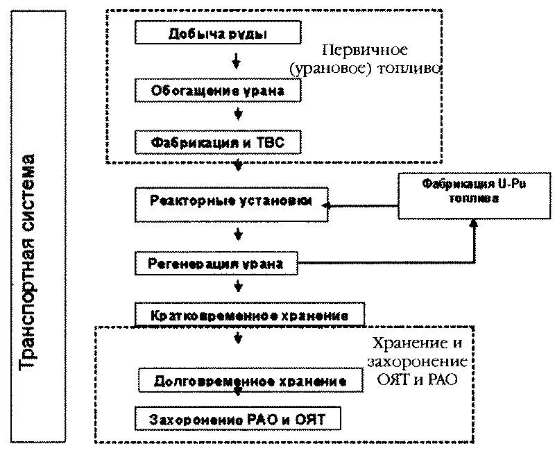 Схемы показывает ведущую сшивающую роль транспортной или шире - фото 17