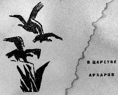 Мы все лежим на кроватях кровати стоят вдоль стен а вся середина комнаты - фото 11