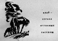 Алай Алай Надо слышать с каким восторгом произносится это слово кочевником - фото 13