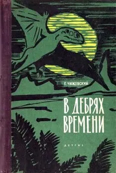 Герман Чижевский - В дебрях времени