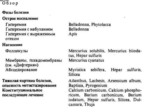 В начальной фазе воспаления миндалины выглядят красными и припухшими - фото 54