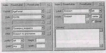 Рис 2116 Закладки Power Builder диалога Column Editor В первой закладке на - фото 232