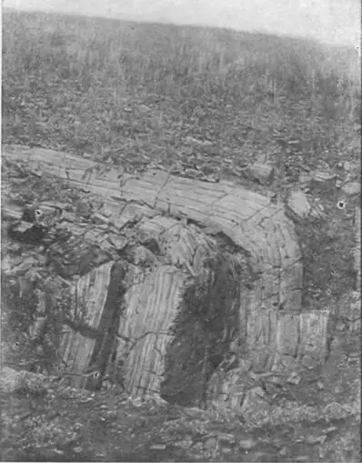 Смятые пласты яшмы близ деревни Наурузовой Южный Урал Фото автора 1935 г - фото 31