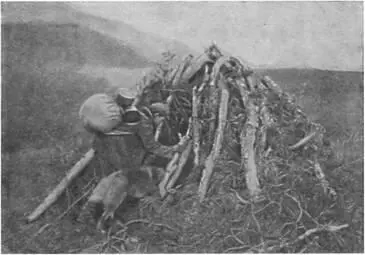 Саамская вежа на берегу озера Малый Вудъявр Наконец пришел 1928 год После - фото 51