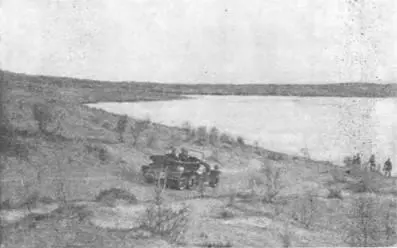 Спуск к такыру Фото 1929 г Широкая дорога среди зарослей леса белого - фото 61