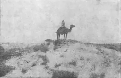 В песках около Аральского моря Уже в 1931 году Академия наук СССР направила - фото 70