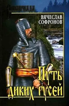 Вячеслав Софронов - Путь диких гусей