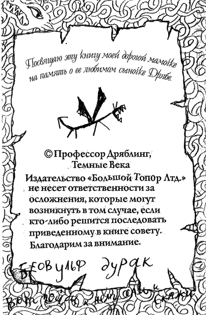 Как приручить дракона - фото 27