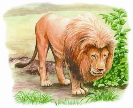 Пещерные львы древние хищники получили свое название вовсе не потому что - фото 105