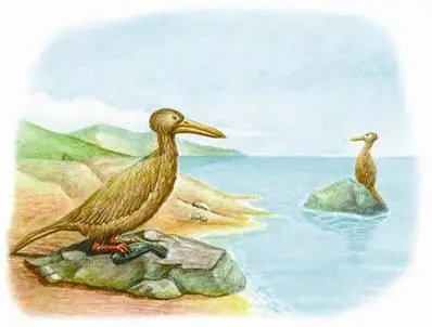 Гесперорнисы С обнаружением древней водоплавающей птицы связана одна - фото 41