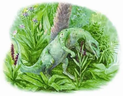 Особенный интерес среди растительноядных динозавров представляли гипсилофодоны - фото 46