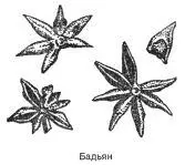 Бадьян Anisum stellatum Синонимы звёздчатый анис китайский анис - фото 1