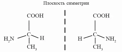 Рис 13 Левая и правая молекулы аланина Сейчас известно что все белки на - фото 19