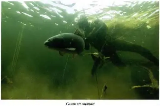 Каждый пресноводный водоем обладает только ему присущими особенностями - фото 138