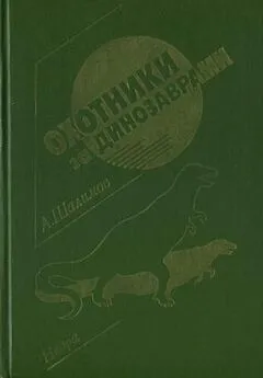 Александр Шалимов - Ночь у мазара