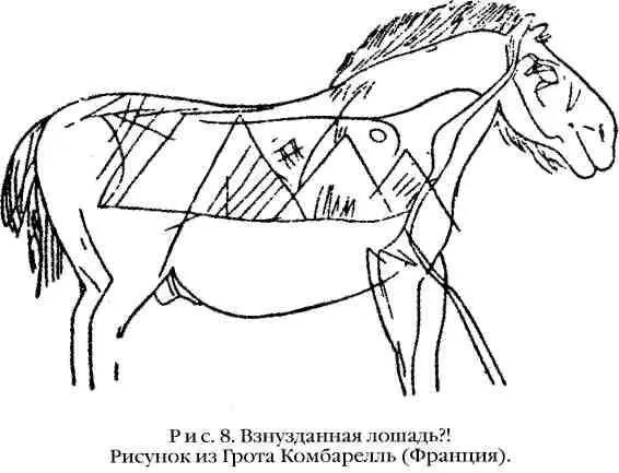 Но пещерная живопись гравировки барельефы вовсе не плоды досуга охотников - фото 10