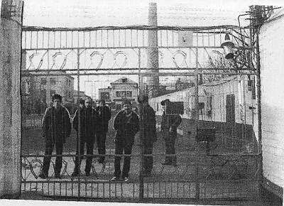 ПРИТОН гадюшник гнездо долушка исловат вост куток малина причал - фото 51