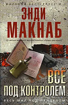 Энди Макнаб - Все под контролем