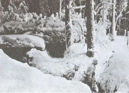 Зимняя позиция на линии Верман Новый маршал Финляндии барон Карл Густав - фото 45