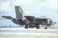 F111F после тренировочного полета Хорошо видны стабилизатор и эжекторные - фото 143