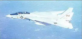 Истребитель F14 Его основное оружие ракеты Феникс Модель - фото 262