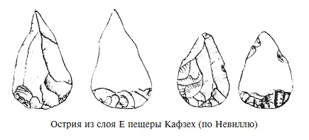 В ахмарский период часто стали использоваться резцы Среди них встречается - фото 17