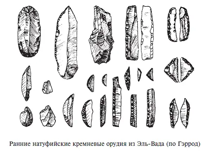 В начале неолита в Палестине жили люди создавшие натуфийскую культуру В - фото 22