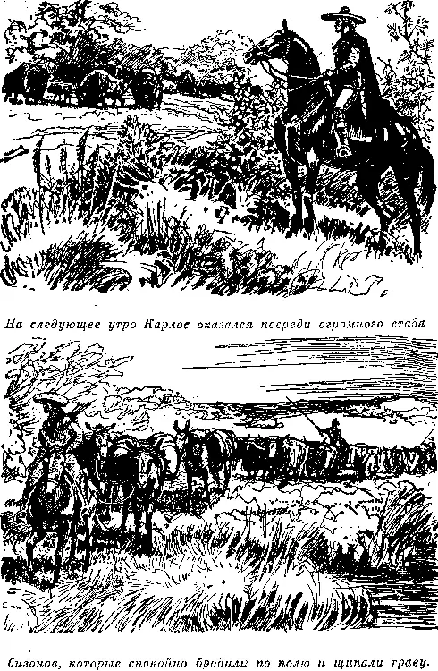 Что же касается торговли с индейцами то это было еще впереди Карлос не - фото 13