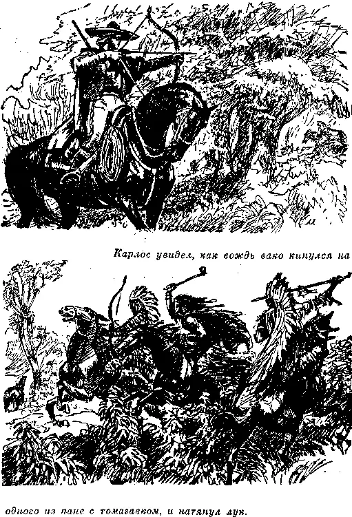 Страшен был вид этих двух тел распростертых рядом на траве но Карлос не стал - фото 14