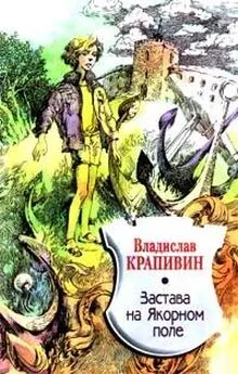 Владислав Крапивин - Застава на Якорном Поле