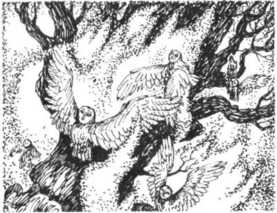 В самом начале правления Храта в период краткого затишья между войнами я - фото 6